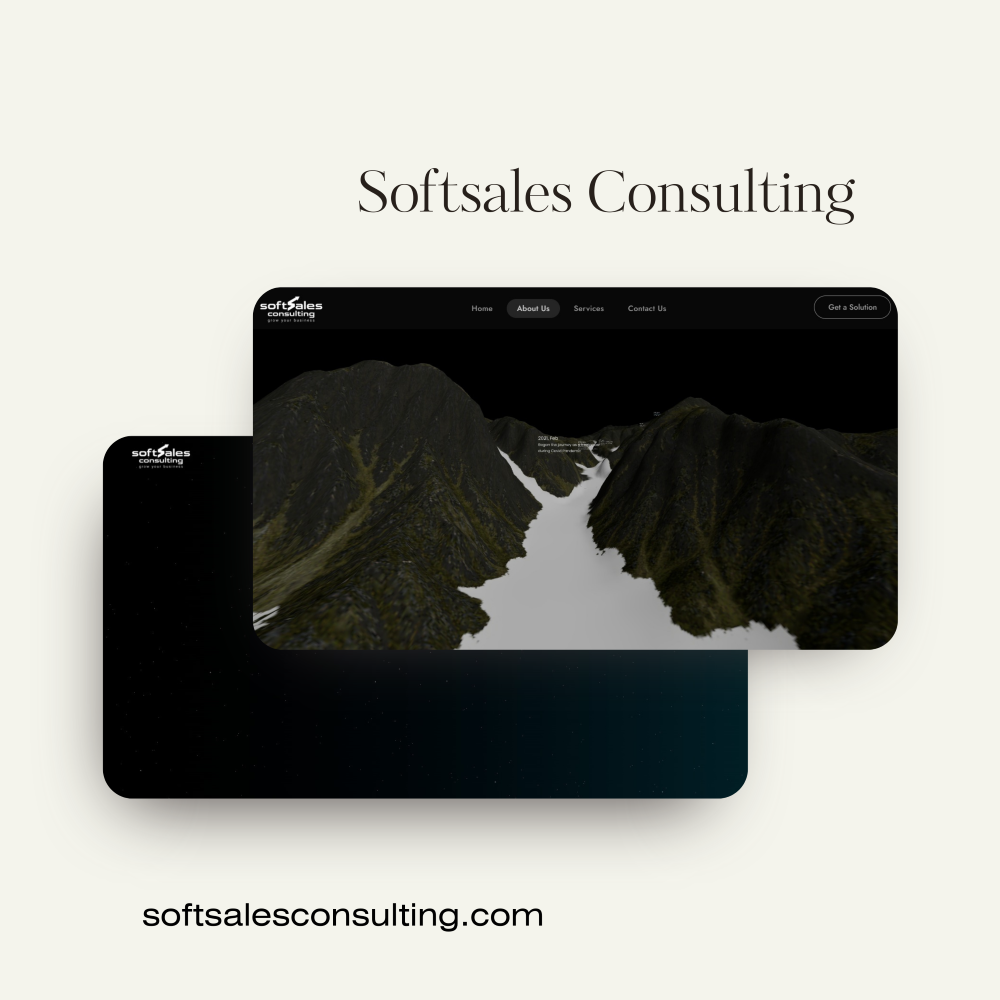 Softsales Consulting 